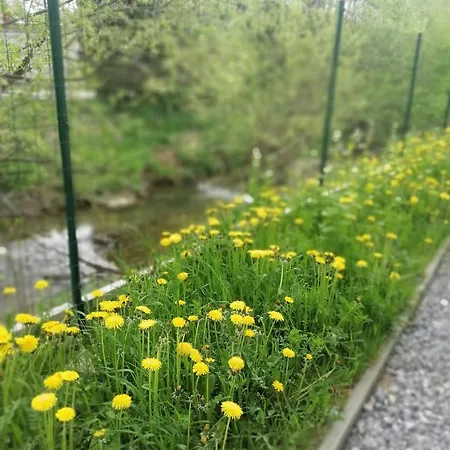 Dovolenkovy Dom Pupava Terchová