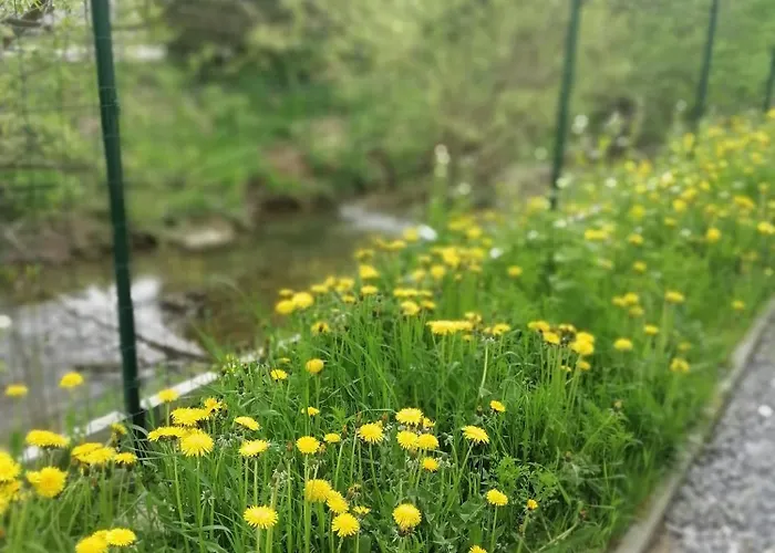 Dovolenkovy Dom Pupava Terhely